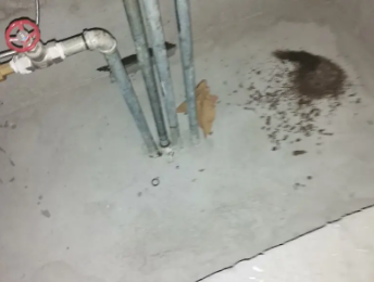 淮北市卫生间测漏水价格明细